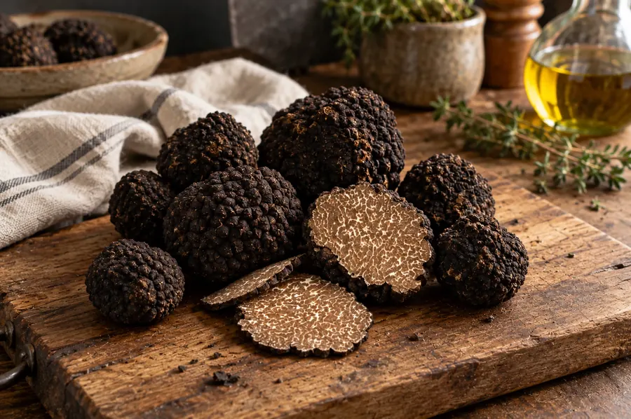 Frischer Herbsttrüffel Tuber Uncinatum aus Umbrien