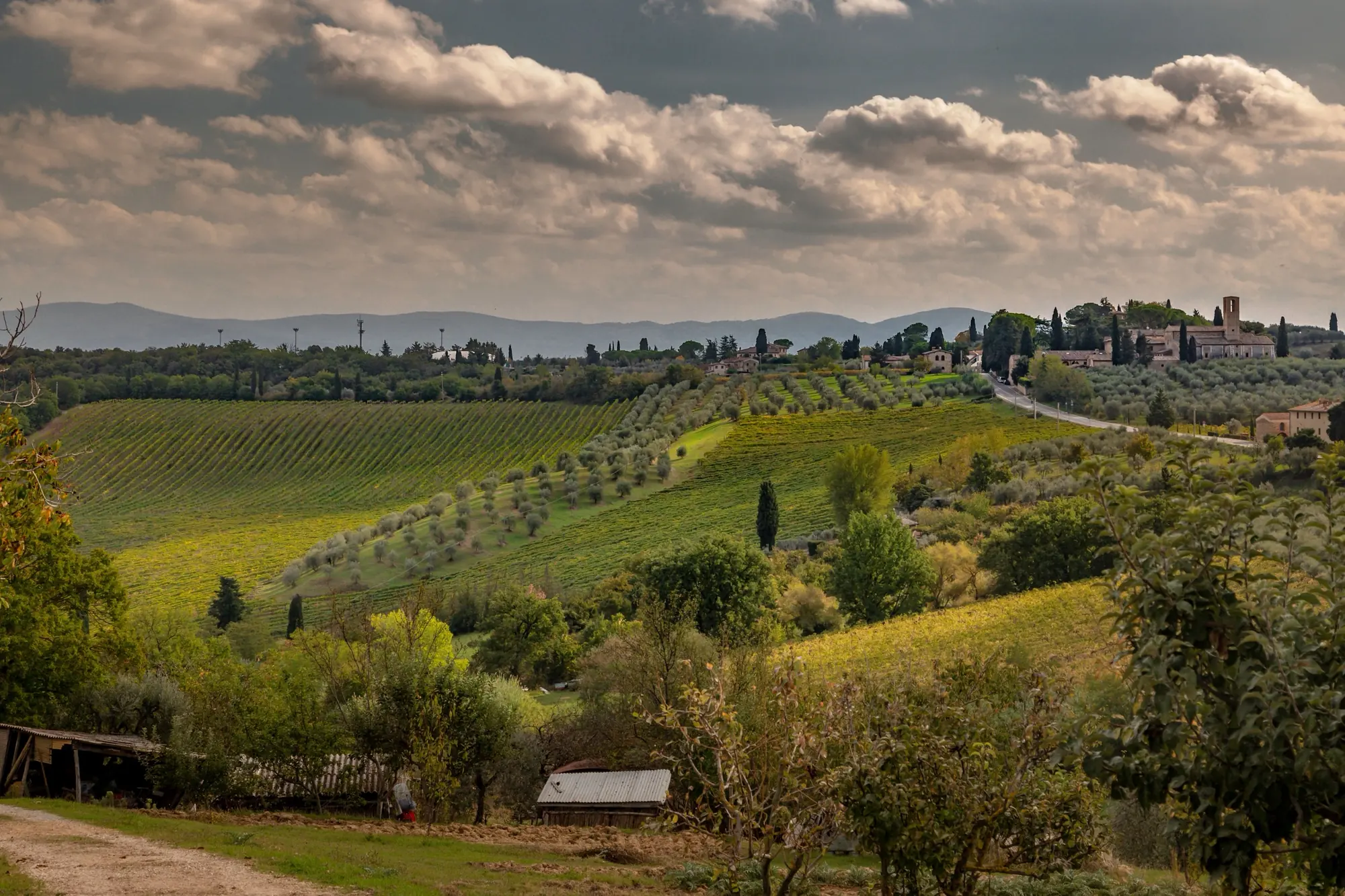 Umbrien Italien — Trüffelregion für Tuber Melanosporum Vittadini, Aestivum und Uncinatum